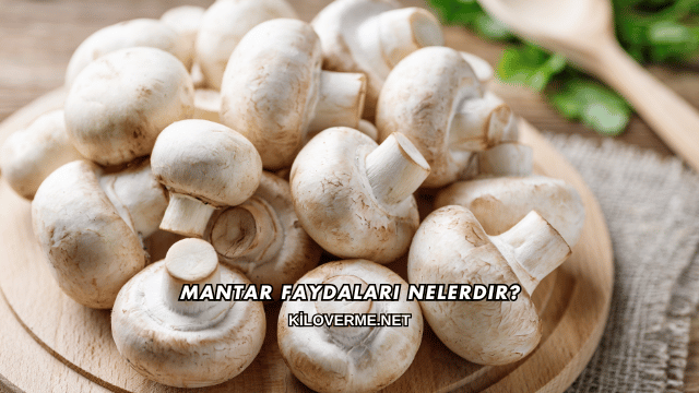 Mantar Faydaları Nelerdir?