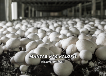 Mantar Kaç Kalori?