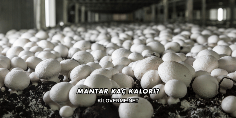 Mantar Kaç Kalori?