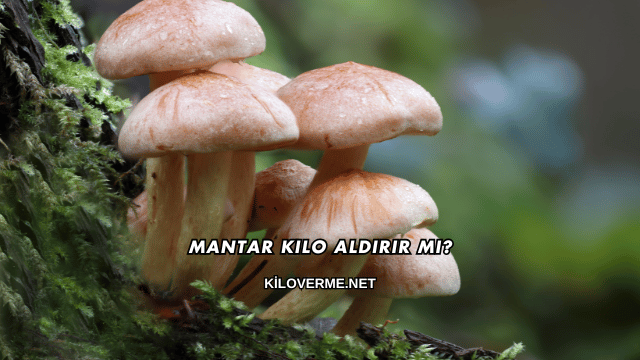 Mantar Kilo Aldırır mı?