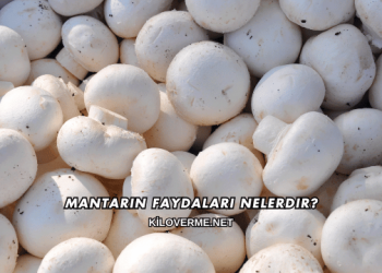Mantarın Faydaları Nelerdir?