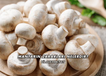 Mantarın Zararları Nelerdir?