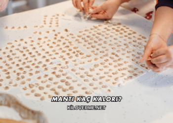 Mantı Kaç Kalori?