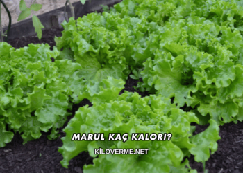 Marul Kaç Kalori?