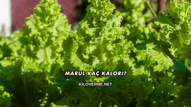 Marul Kaç Kalori?