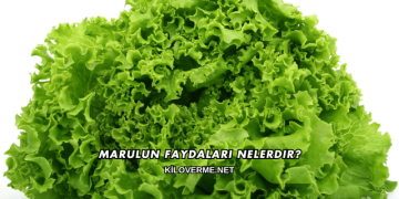 Marulun Faydaları Nelerdir?