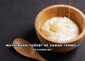 Mayalanan Yoğurt Ne Zaman Yenmeli?