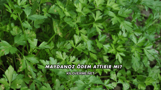 Maydanoz Ödem Attırır mı?