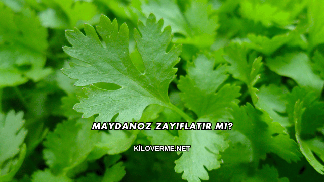 Maydanoz Zayıflatır mı?