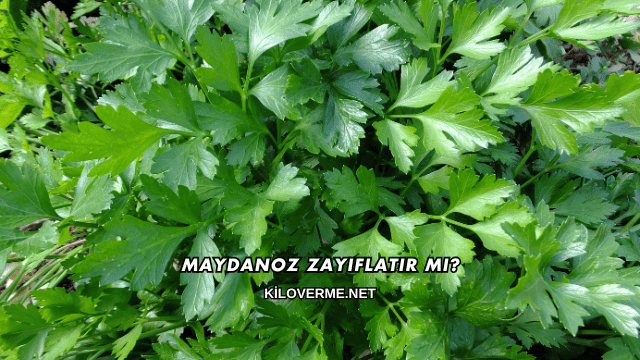 Maydanoz Zayıflatır mı?
