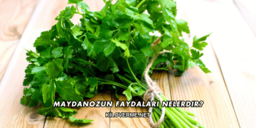 Maydanozun Faydaları Nelerdir?