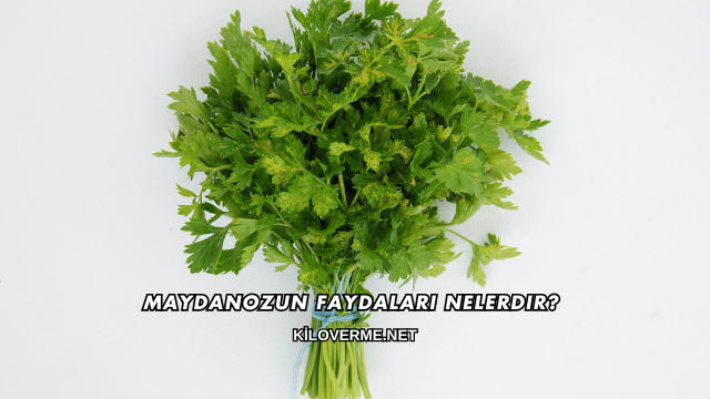Maydanozun Faydaları Nelerdir?