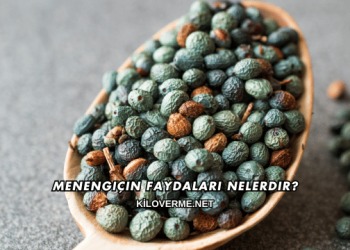 Menengiçin Faydaları Nelerdir?
