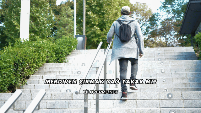 Merdiven Çıkmak Yağ Yakar mı?
