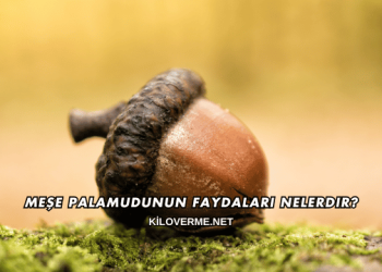 Meşe Palamudunun Faydaları Nelerdir?