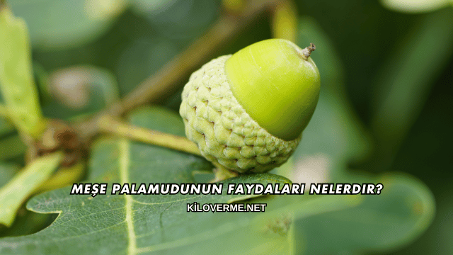 Meşe Palamudunun Faydaları Nelerdir?