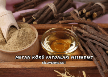 Meyan Kökü Faydaları Nelerdir?