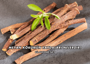 Meyan Kökünün Faydaları Nelerdir?