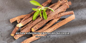 Meyan Kökünün Faydaları Nelerdir?