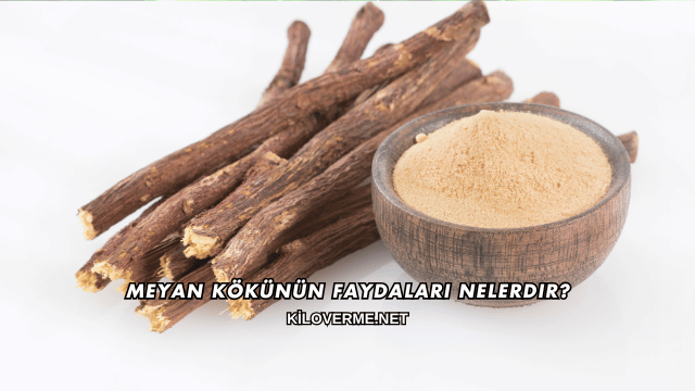 Meyan Kökünün Faydaları Nelerdir?