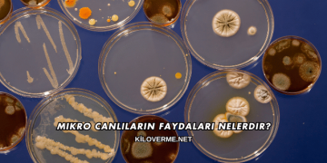 Mikro Canlıların Faydaları Nelerdir?