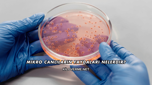 Mikro Canlıların Faydaları Nelerdir?