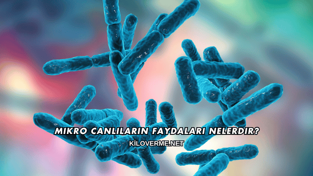 Mikro Canlıların Faydaları Nelerdir?