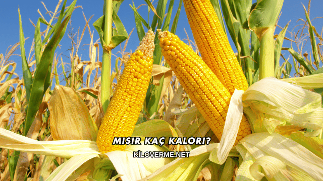Mısır Kaç Kalori?