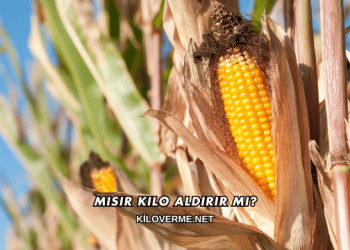 Mısır Kilo Aldırır mı?