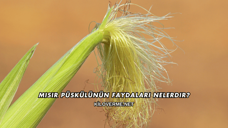 Mısır Püskülünün Faydaları Nelerdir?