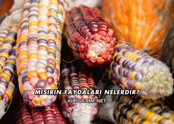 Mısırın Faydaları Nelerdir?