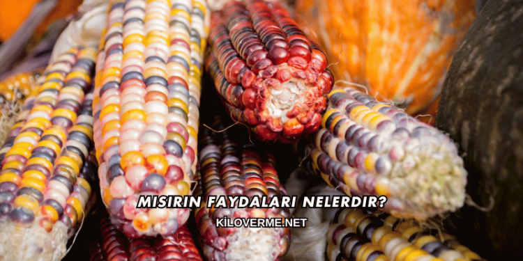 Mısırın Faydaları Nelerdir?