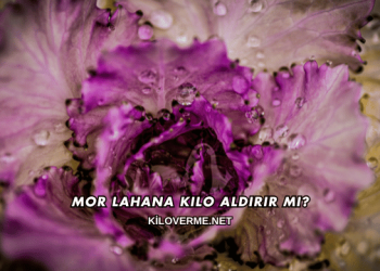 Mor Lahana Kilo Aldırır mı?