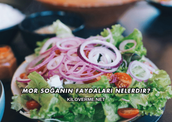 Mor Soğanın Faydaları Nelerdir?