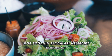 Mor Soğanın Faydaları Nelerdir?