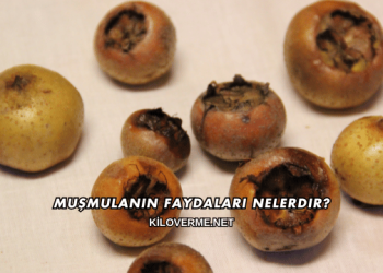 Muşmulanın Faydaları Nelerdir?