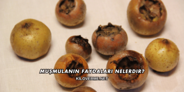 Muşmulanın Faydaları Nelerdir?