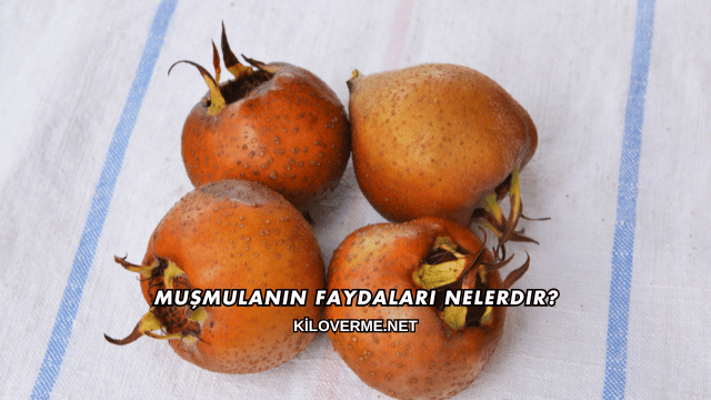 Muşmulanın Faydaları Nelerdir?