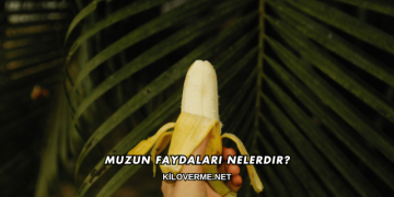Muzun Faydaları Nelerdir?