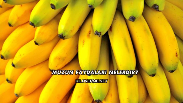 Muzun Faydaları Nelerdir?