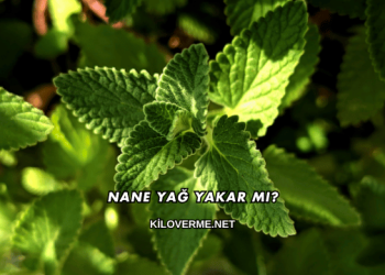 Nane Yağ Yakar mı?