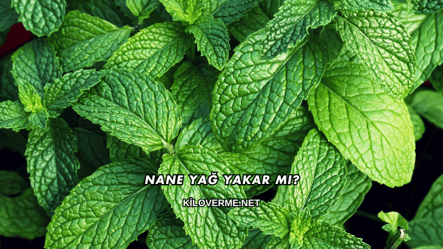 Nane Yağ Yakar mı?