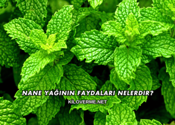 Nane Yağının Faydaları Nelerdir?