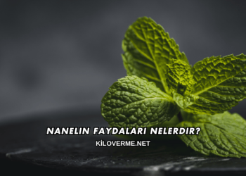 Nanelin Faydaları Nelerdir?