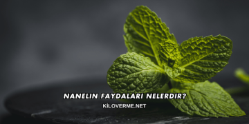 Nanelin Faydaları Nelerdir?