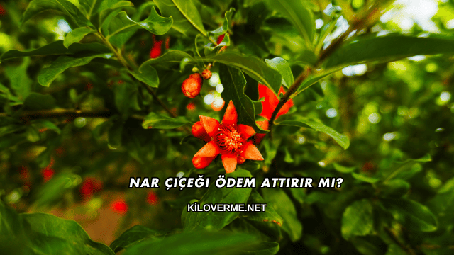 Nar Çiçeği Ödem Attırır mı?