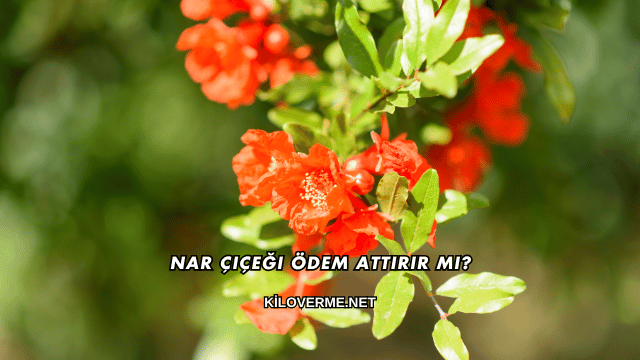 Nar Çiçeği Ödem Attırır mı?