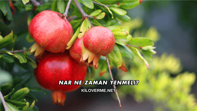 Nar Ne Zaman Yenmeli?
