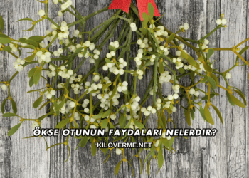 Ökse Otunun Faydaları Nelerdir?