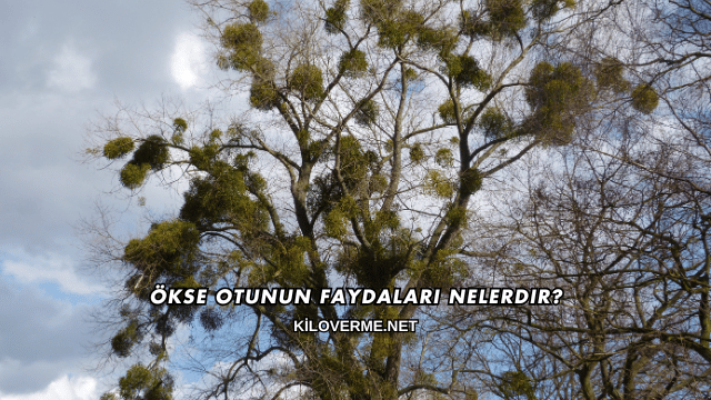 Ökse Otunun Faydaları Nelerdir?